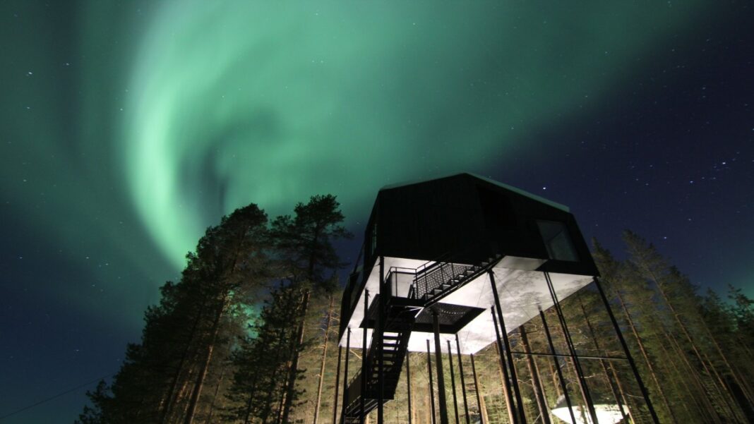 tree hotel sweden Tree Hotel Σουηδία