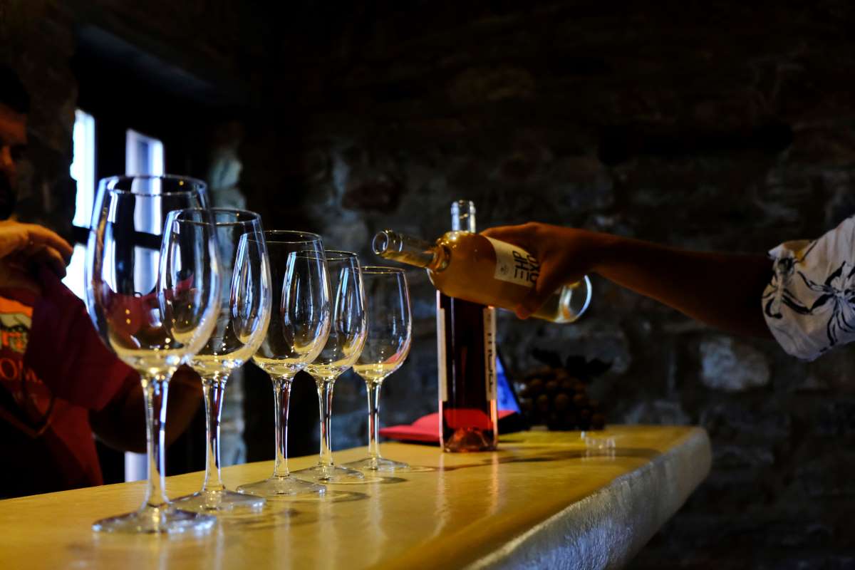 Σέριφος, Οινοποιείο Χρυσολωρά  (Chrysoloras Winery)