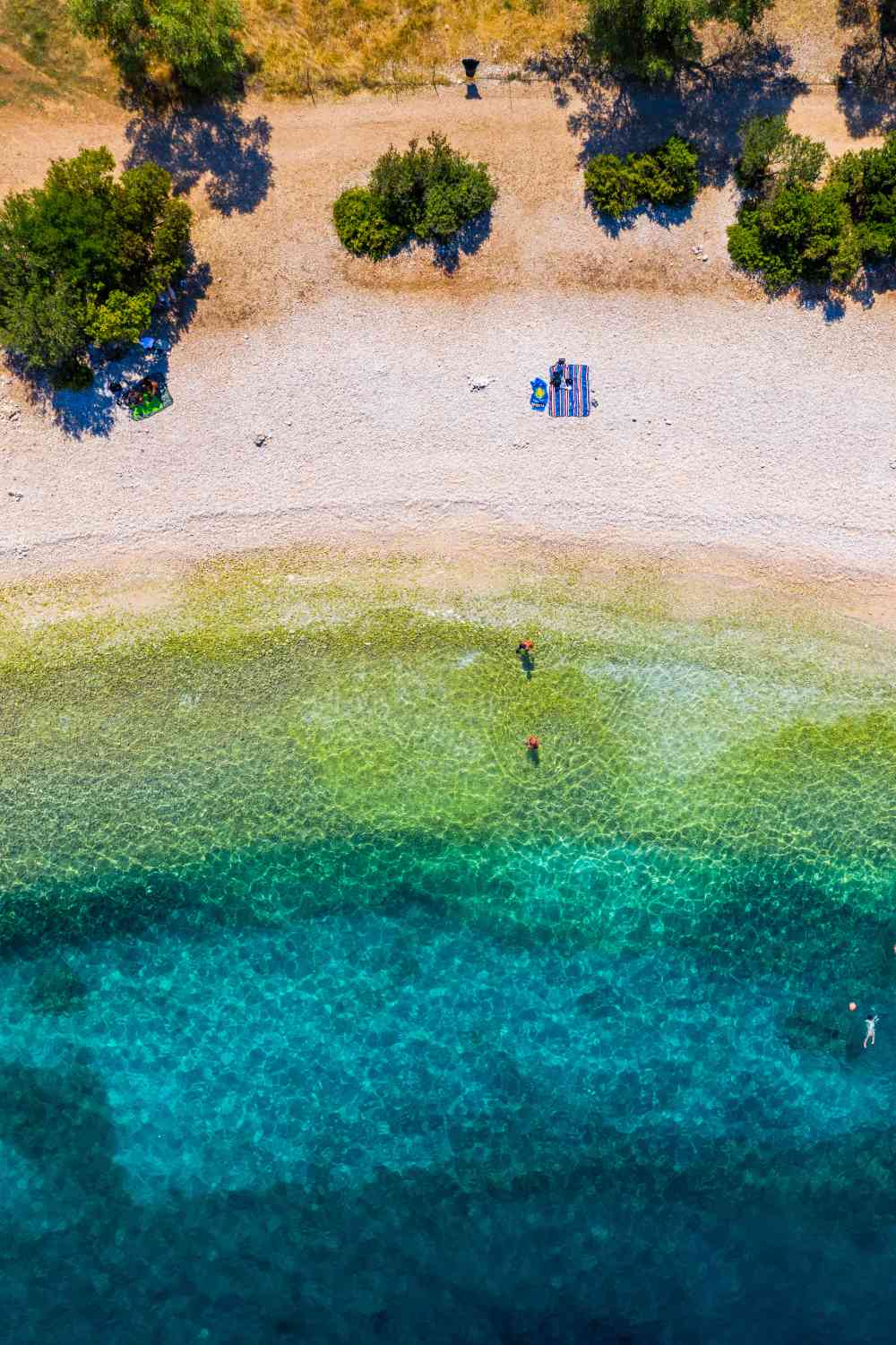 Αντίσαμος, Κεφαλονιά