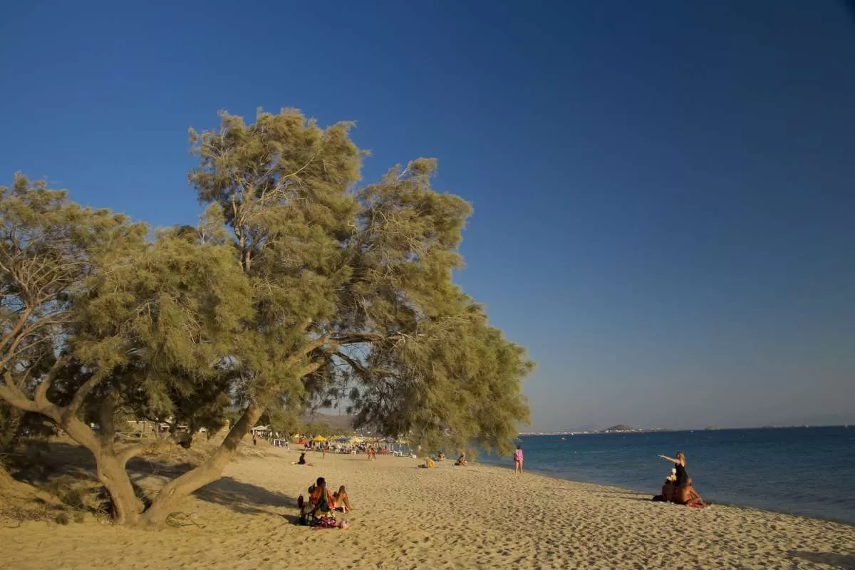 Πλάκα  παραλία Νάξος