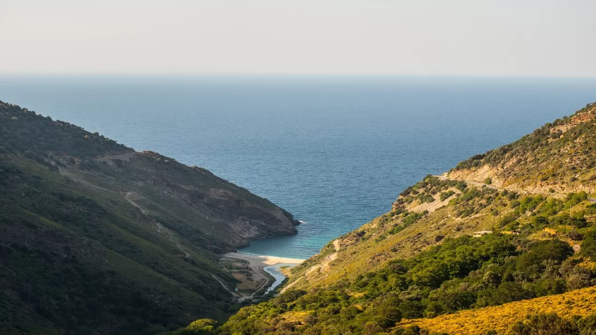 Άγιος Δημήτριος Εύβοια