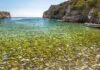 Παραλία Αλύπα Μάνη