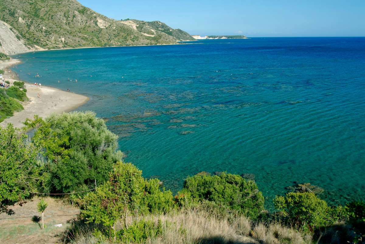 Δάφνη Ζάκυνθος