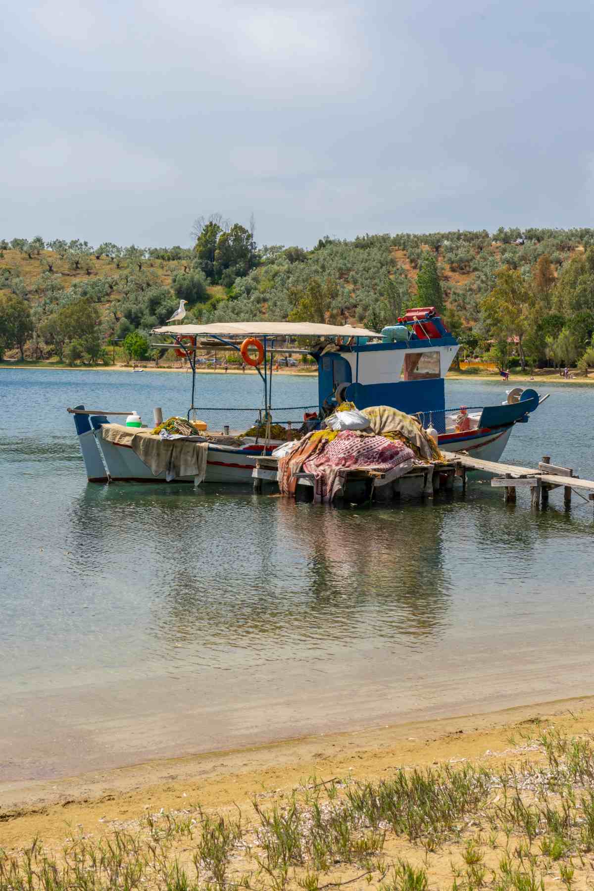 Πτελεός Μαγνησίας -Παραλία Λουτρό