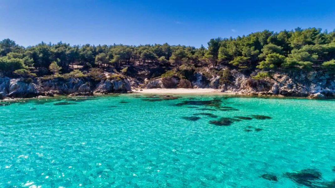 kavourotrypes-Halkidiki-kentriki Καβουρότρυπες Χαλκιδική