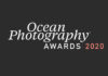 Ocean Photography Awards