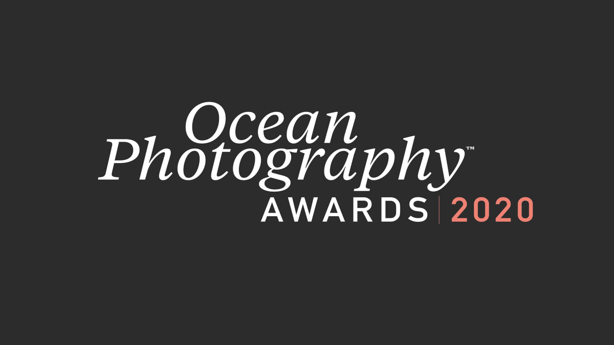 Ocean Photography Awards