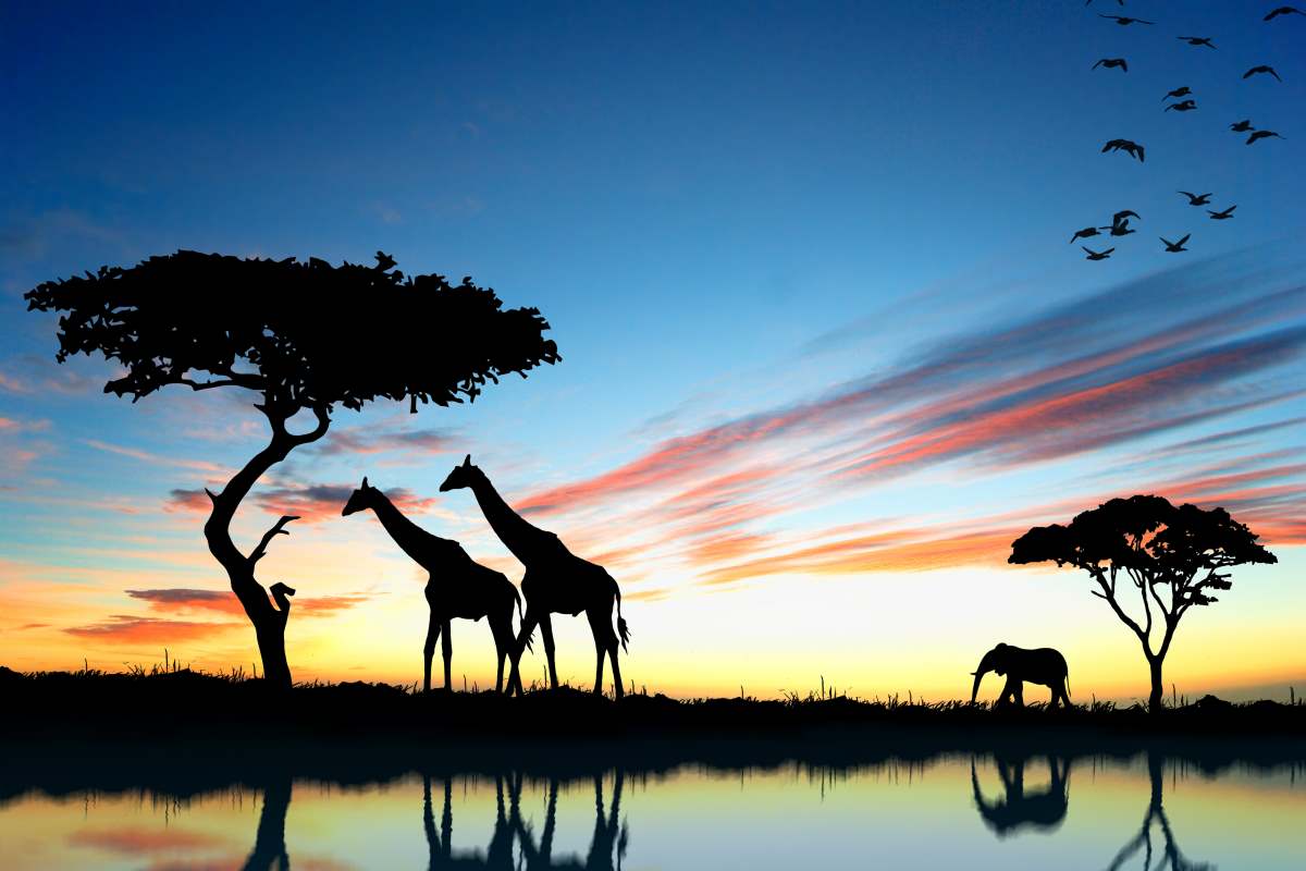World Travel Awards: Ο κορυφαίος προορισμός Safari στον κόσμο για το 2021