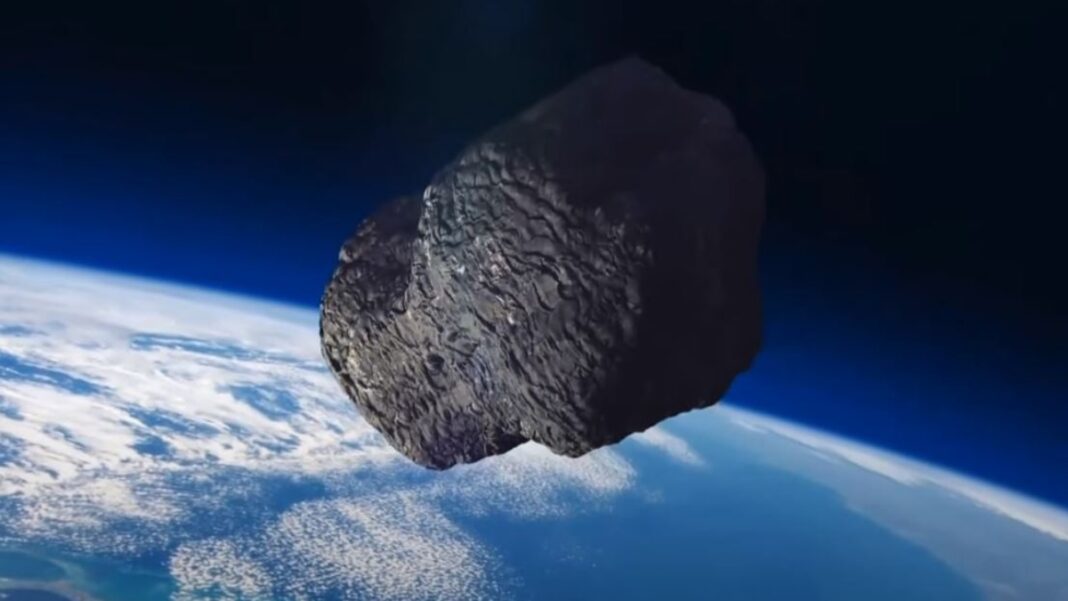 asteroeidis (1)