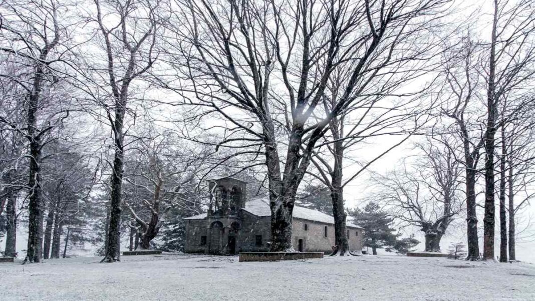 metsovo-parko-averwf