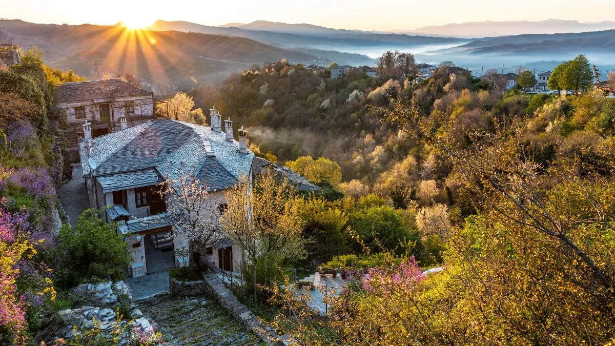 Ελάτη Ζαγόρι