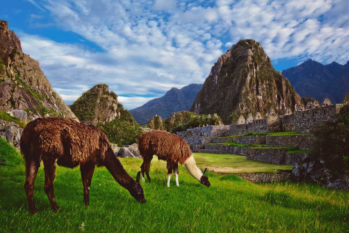 Huayna Picchu