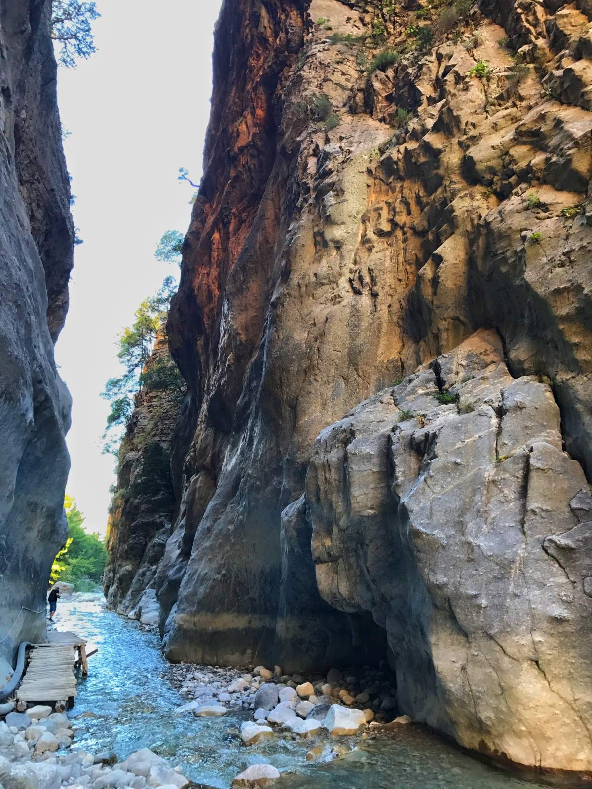 Φαράγγι της Σαμαριάς 