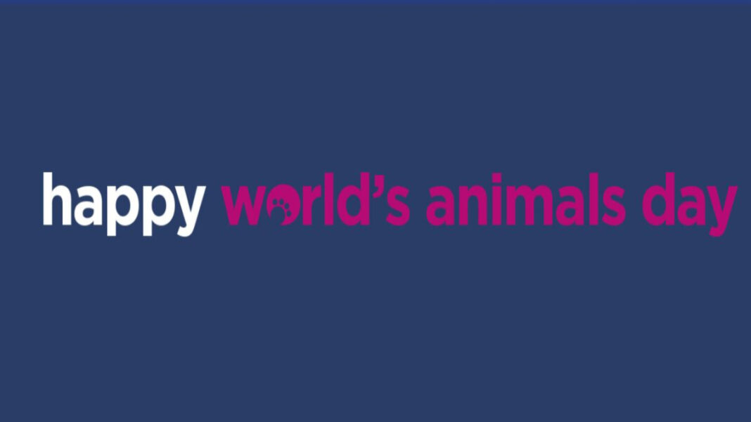 sky express-purina