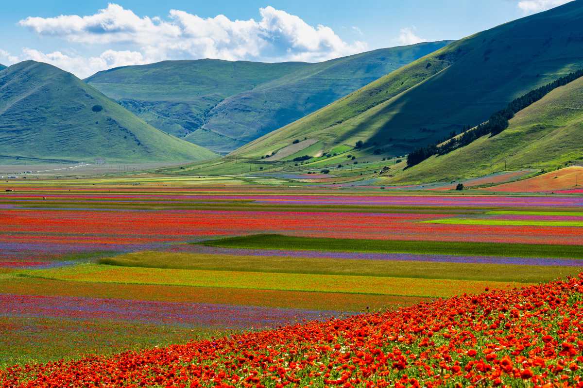 κοιλάδα Castelluccio