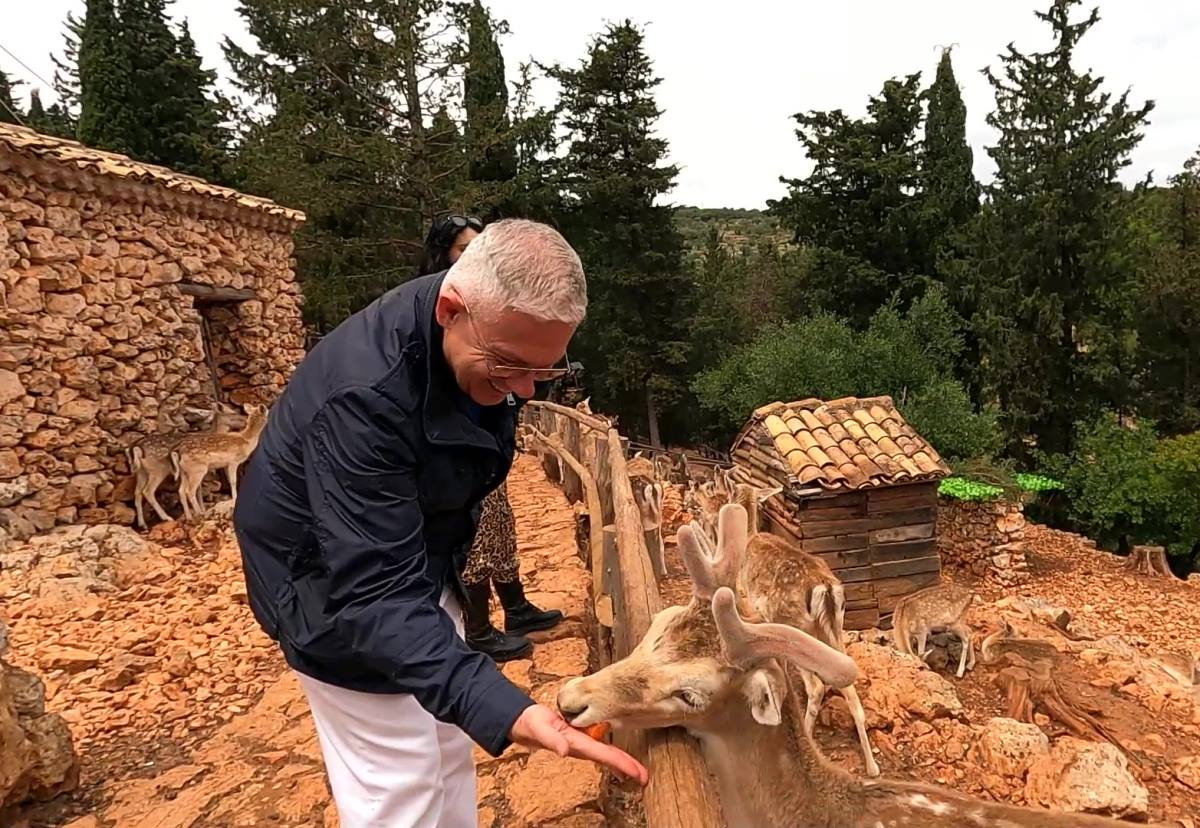 Εικόνες Ζάκυνθος