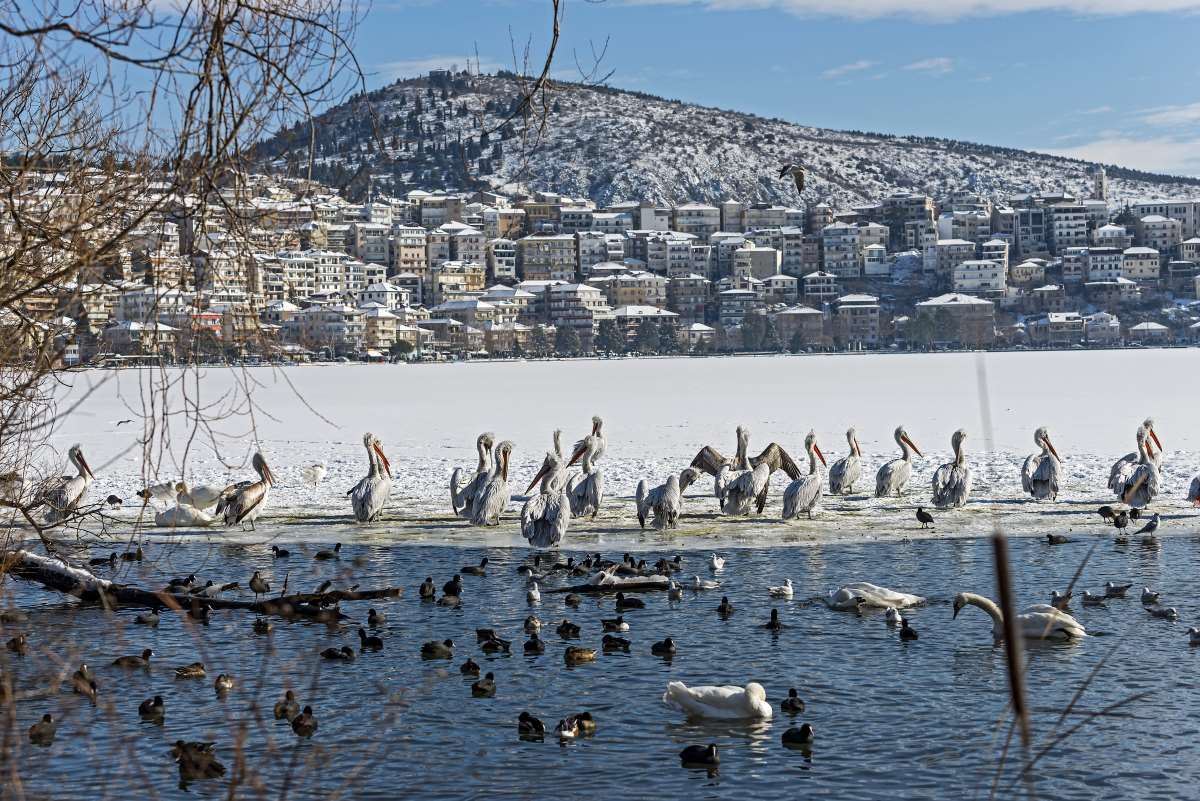 Καστοριά