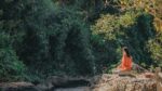wellness tourism