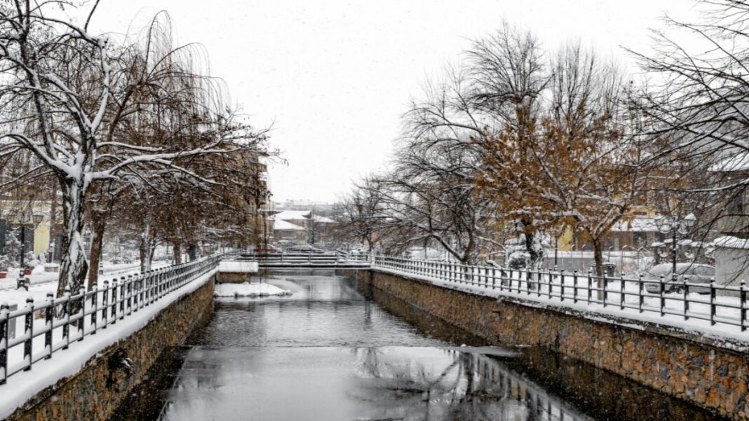 shutterstock_Florina