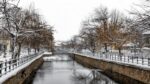 shutterstock_Florina