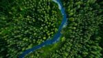 shutterstock_forest Finland