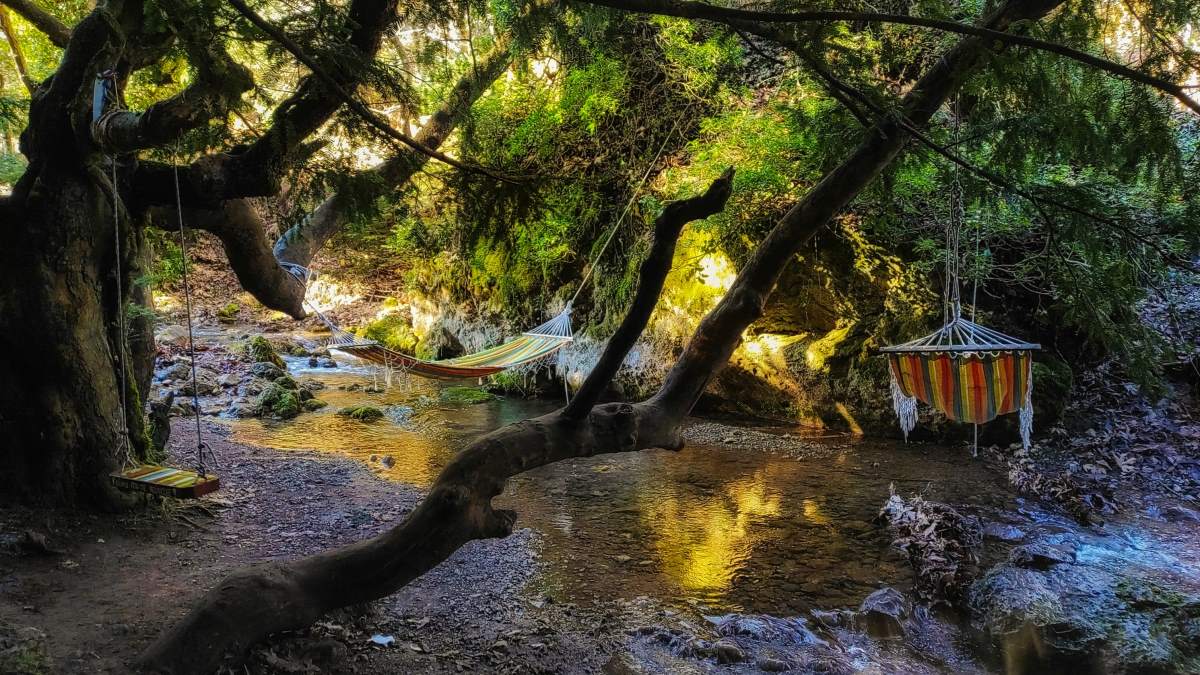 Δάσος Παύλιανης