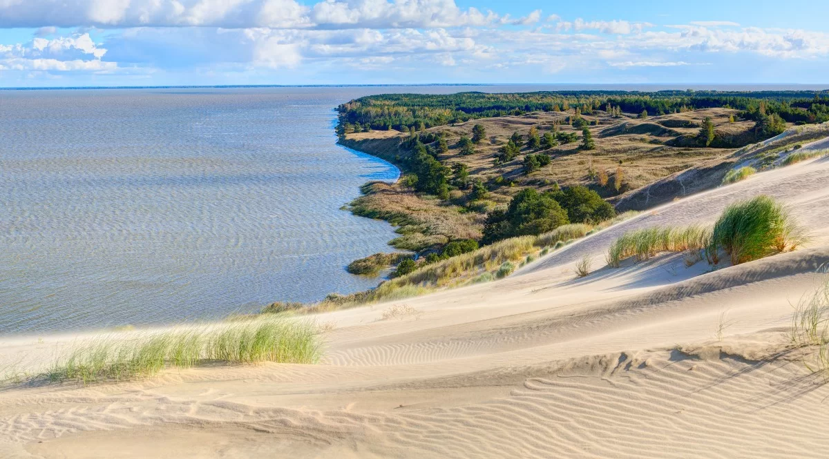 Γκρίζοι αμμόλοφοι στο Curonian Spit, Λιθουανία.