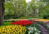 Κήπος Keukenhof - Ολλανδία
