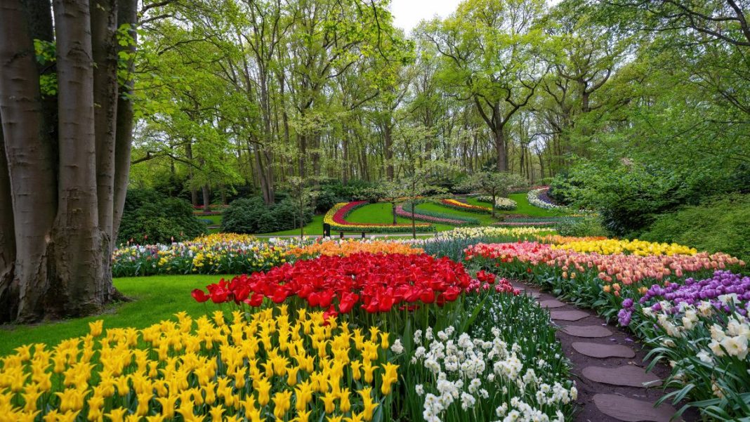 Κήπος Keukenhof - Ολλανδία