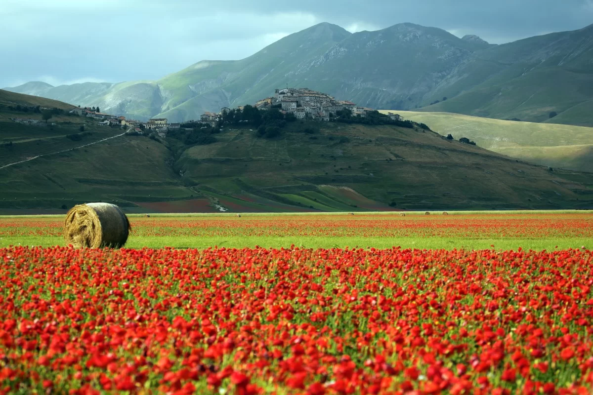 Εθνικό Πάρκο των βουνών Castelluccio και Sibillin - Ούμπρια