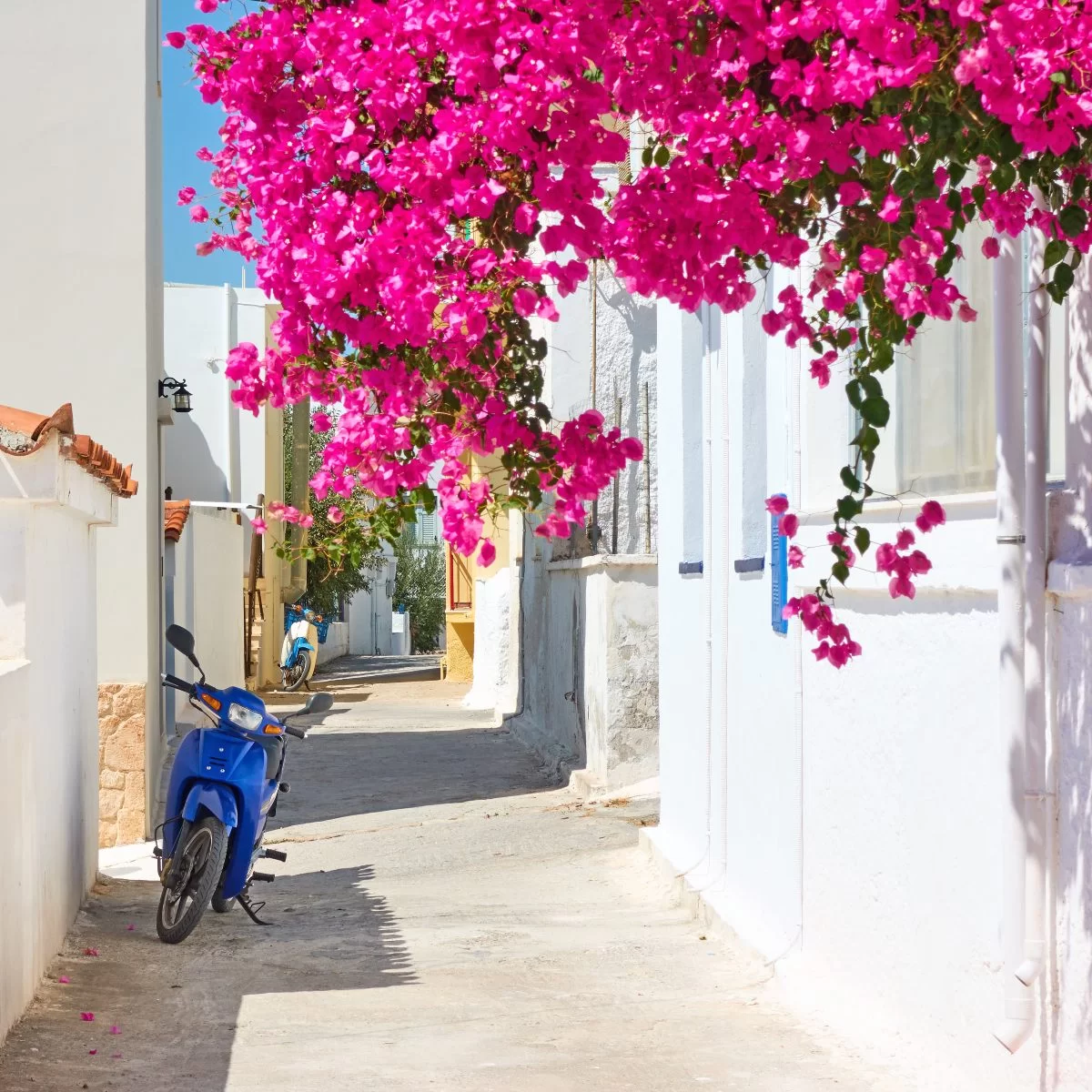 Πολύχρωμο μικρό δρομάκι  στο ψαροχώρι Πέρδικα, Αίγινα