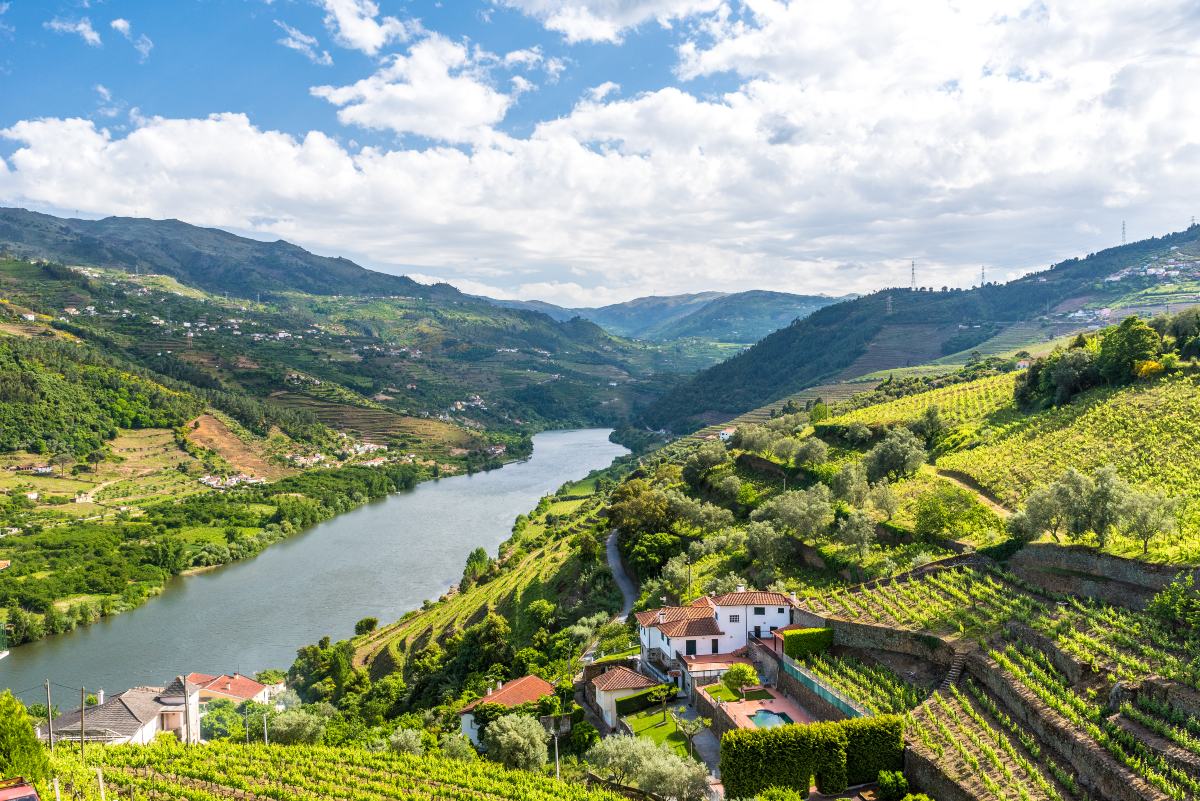 Τοπίο της περιοχής του ποταμού Douro στην Πορτογαλία