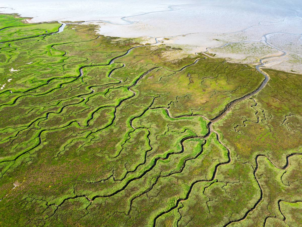 Παγκόσμιο Γεωπάρκο της UNESCO, Delta Schelde, Βέλγιο και Ολλανδία