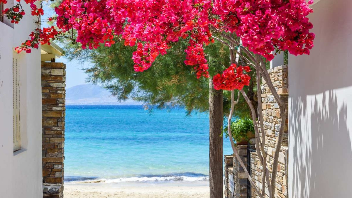 Πορτάρα Νάξος