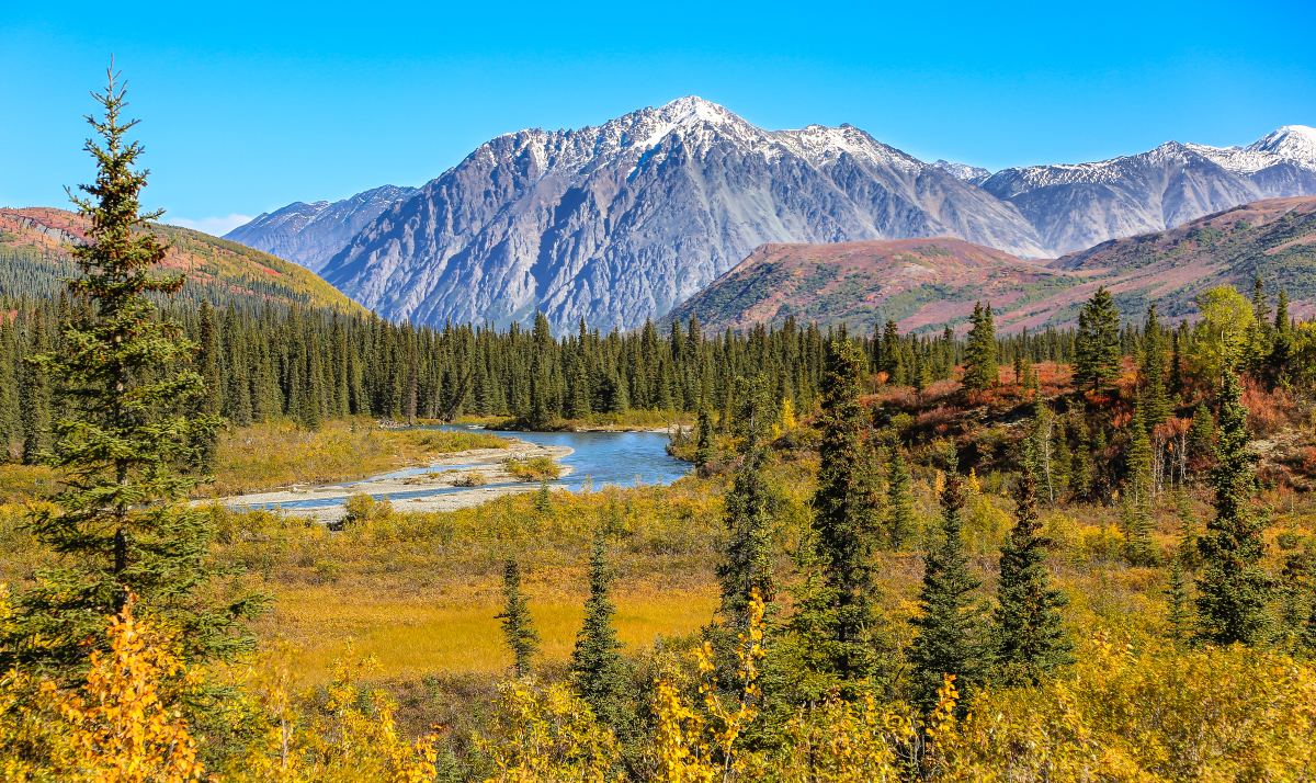 Εθνικό Πάρκο Denali 