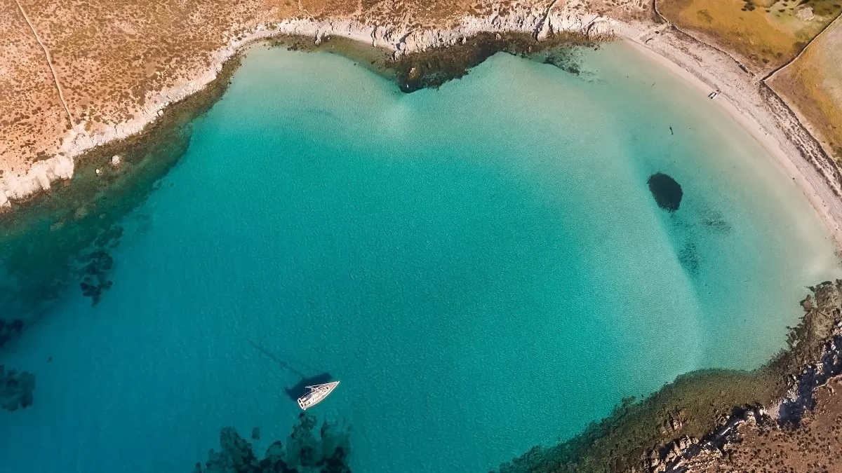Ρήνεια