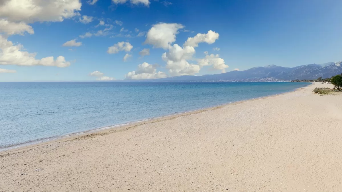 Παραλία Σχοινιά, Αττική