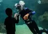 cretaquarium