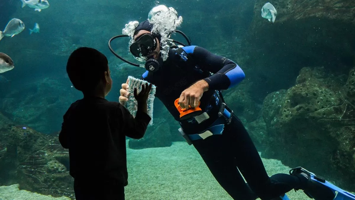 cretaquarium