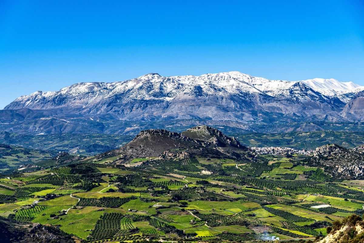 Ψηλορείτης