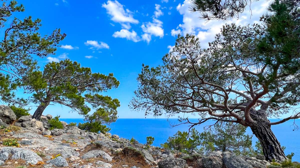 Κρήτη: Οι τέσσερις περιοχές UNESCO – Ένα νησί, τέσσερις θησαυροί παγκόσμιας αξίας