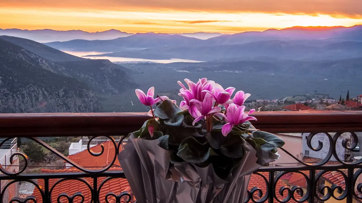 Fedriades Delphi Hotel: Πλούσια φιλοξενία με υπέροχη θέα