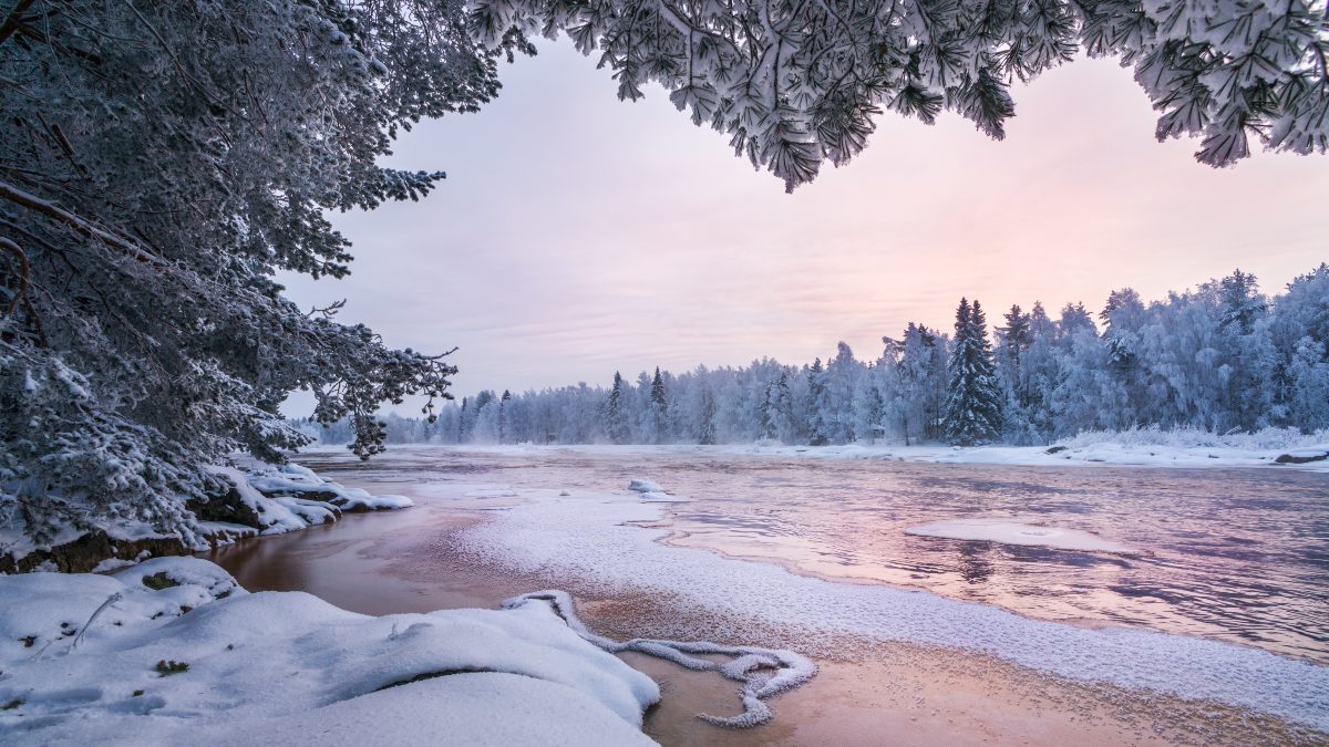 Χειμερινό τοπίο από τη φινλανδική φύση. Κοϊτέλι, Κιιμινκι, Όουλου, Φινλανδία