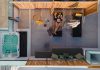 Makava Suites: Μια ηλιόλουστη «όαση» κυκλαδίτικης κομψότητας στην καρδιά της Χώρας Makava Suites
