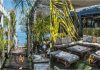 Coava All day Cafe Bar: Το παραθαλάσσιο στέκι στην Αρτέμιδα που θα γίνει η νέα σου καλοκαιρινή συνήθεια! coava